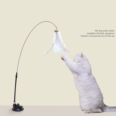 Unleash Endless Joy for Your Curious Kitty